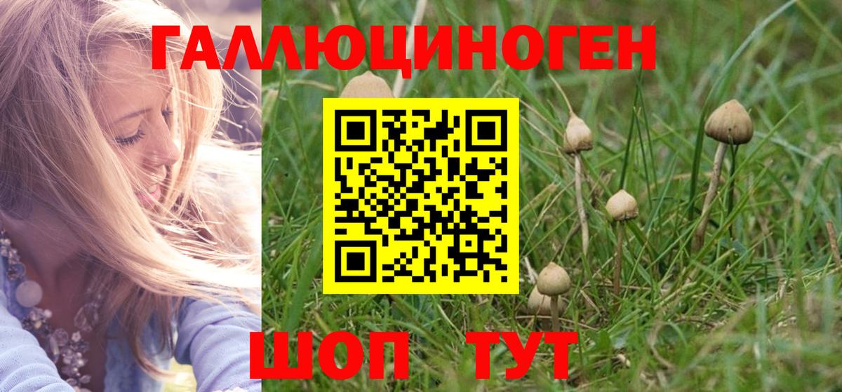 Тавда  Галлюциногенные грибы GOLDEN TEACHER  Вход с VPN 